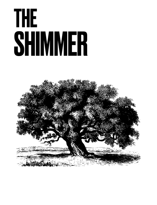 The Shimmer | Part I.